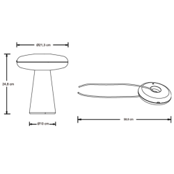 2 Ways LED table lamp with wood base light
