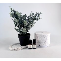Aroma LED diffuser med Terrasso design. inkl. 2 x olie