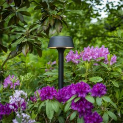 Valencia auen garten leuchte