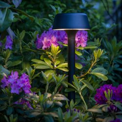 Valencia auen garten leuchte