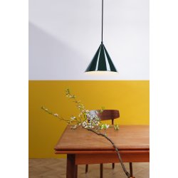 Ron blank mrkegrn pendel