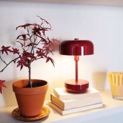 Haipot dark red LED rechargeable table lamp