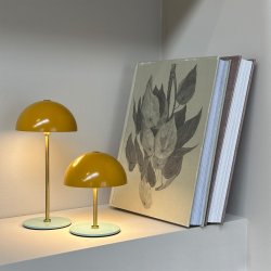 ALONG LED Minibordlampe curry-turkis - ske med 2 stk. 