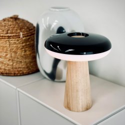 2 Ways LED table lamp with wood base light