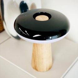 2 Ways LED table lamp with wood base light