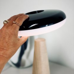 2 Ways LED table lamp with wood base light