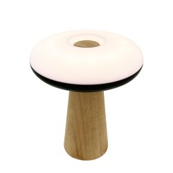2 Ways LED table lamp with wood base light