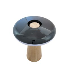 2 Ways LED table lamp with wood base light