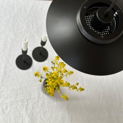 Ejka Mini Matt Black pendant light