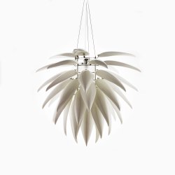 Jeremy Cole Aloe Blossom Small