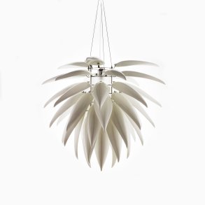 Jeremy Cole Aloe Blossom Small