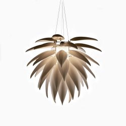 Jeremy Cole Aloe Blossom Small