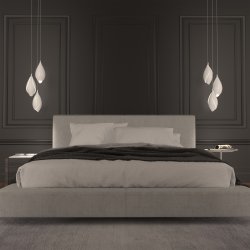 Jeremy Cole Chrysalis