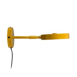 Starlight vglampe Curry 