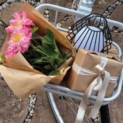 Evesham Udendrs Lanterne / sort small