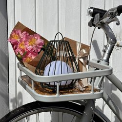 Evesham Outdoor lantern / green small