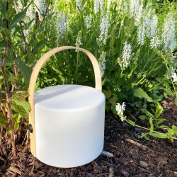 Buy 2 Carry solar lantern 80