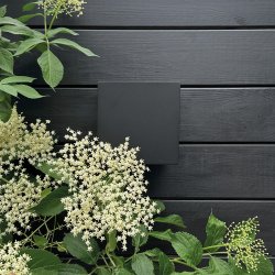 Venus sort vglampe udendrs - Large