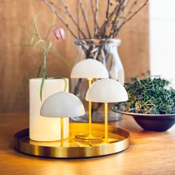 ALONG LED Mini Table Lamp beige/brass 3 pcs in box with tray