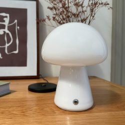 Morkel Mushroom rechargeable white