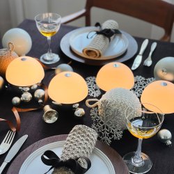 Alba light ball Chrome 2 pcs 