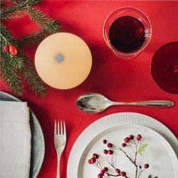 Alba light ball Chrome 1 pcs. 