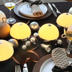 Alba light ball Chrome 1 pcs. 