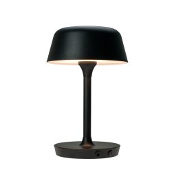 Kb 2 genopladelige lamper for 699,-