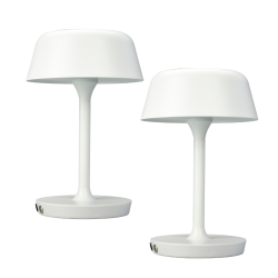 Kb 2 genopladelige lamper for 699,-